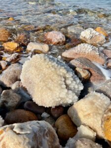 Shores of the Dead Sea