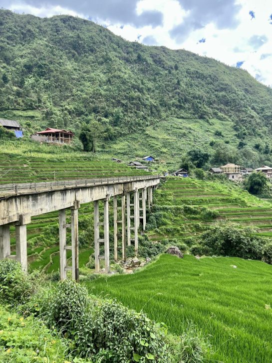 Bridhe and Rice Paddies in Vietnam