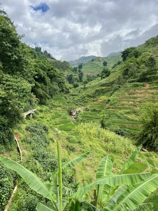 Valley and Rice Paddies in Vietnam