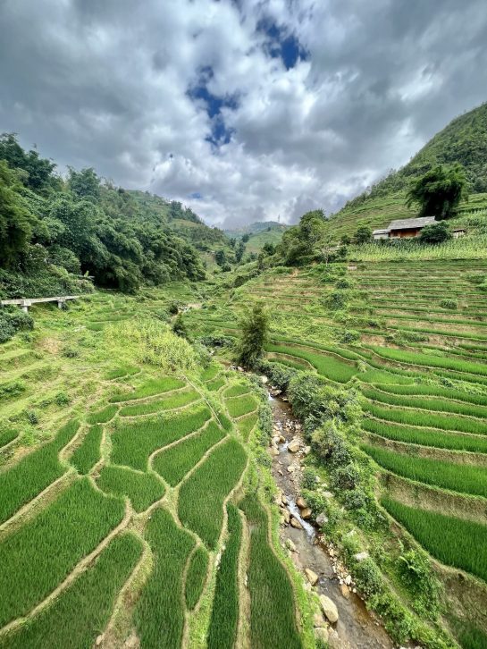 Terraced Rice Paddies in Vietnam