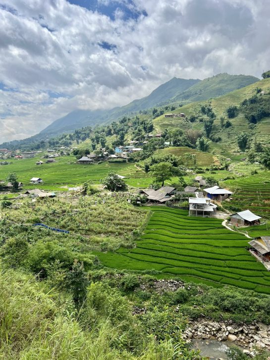 Village and rice paddies in Vietnam