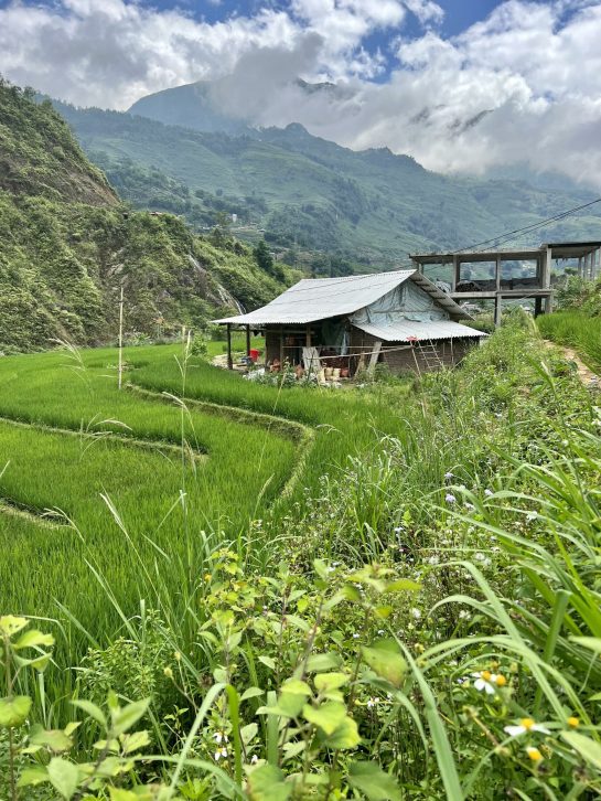 Home in Vietnam
