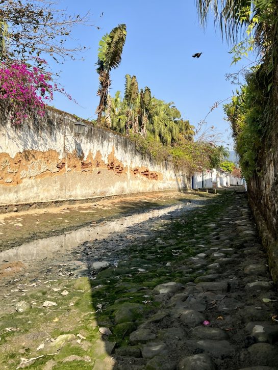 Tropical cobblestone street.
